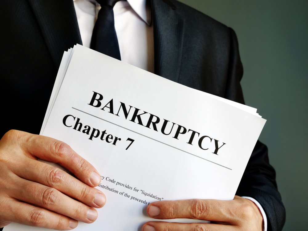 The Bankruptcy Process 