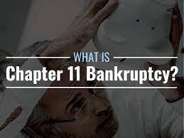 what is chapter 11 bankruptcy